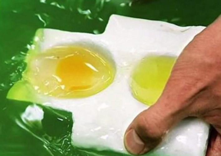 The process of manufacturing eggs