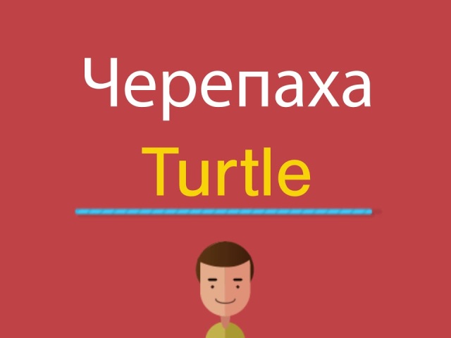 Слово черепаха на английском языке: перевод с транскрипцией. Описание черепахи на английском языке