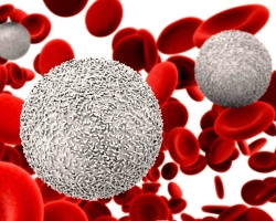 La norme des leucocytes chez les femmes après 50 ans: dans le sang, l'urine, le frottis. Augmentation et réduction de la quantité de leucocytes