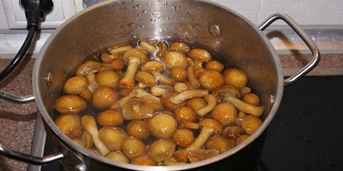 Antes de cocinar, es necesario pre -boil hongos