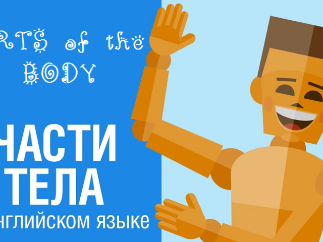 The theme of “parts of the body and face” in English for children: the necessary words, exercises, dialogue, songs, cards, games, tasks, riddles, cartoons for children in English with transcription and translation for independent study from scratch