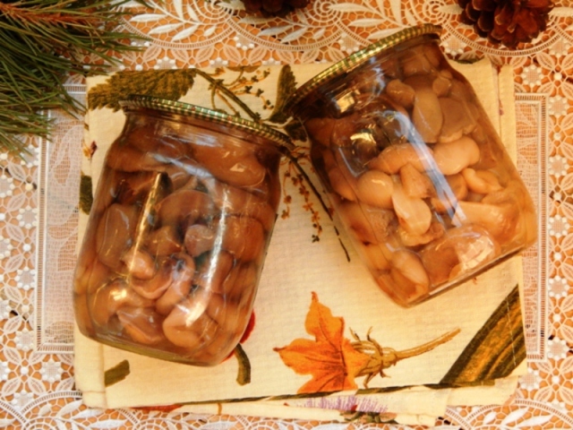 Маринованные грибы маслята на зиму хрустящие, с чесноком, уксусом, в томате с луком, семенами горчицы, по-корейски, со стерилизацией и без стерилизации, холодным способом в банках: простой, вкусный пошаговый рецепт. Солянка с маслятами на зиму: вкусный рецепт