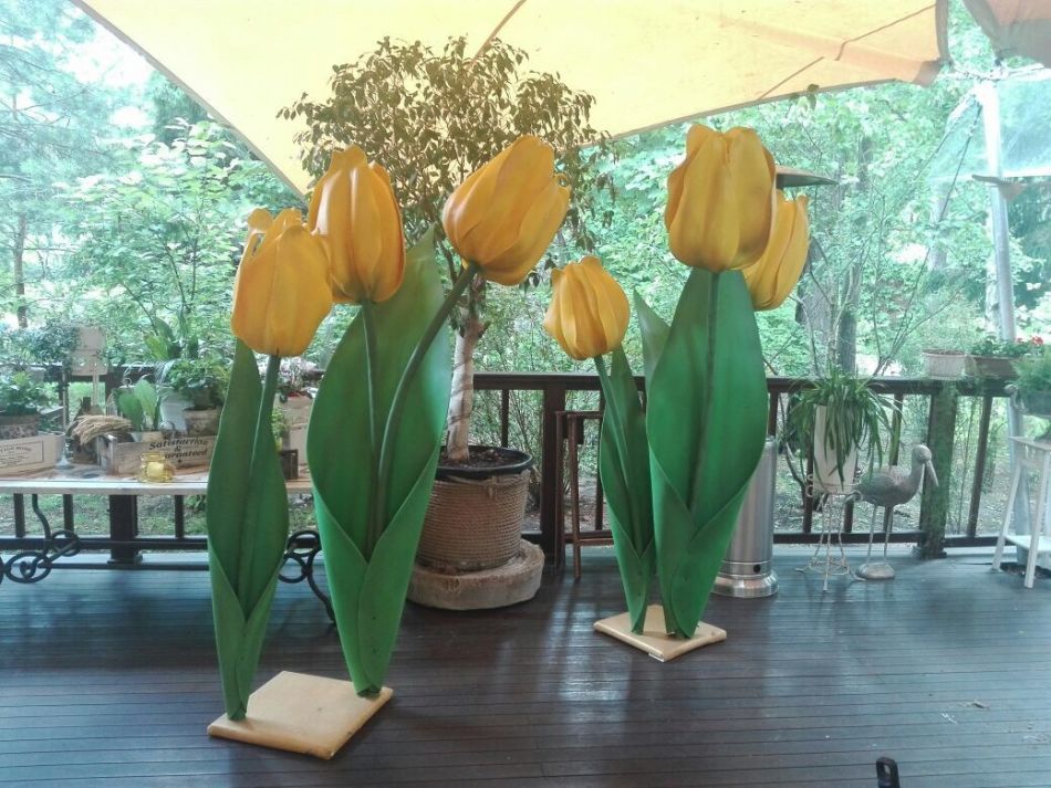 Ozolonski tulipani