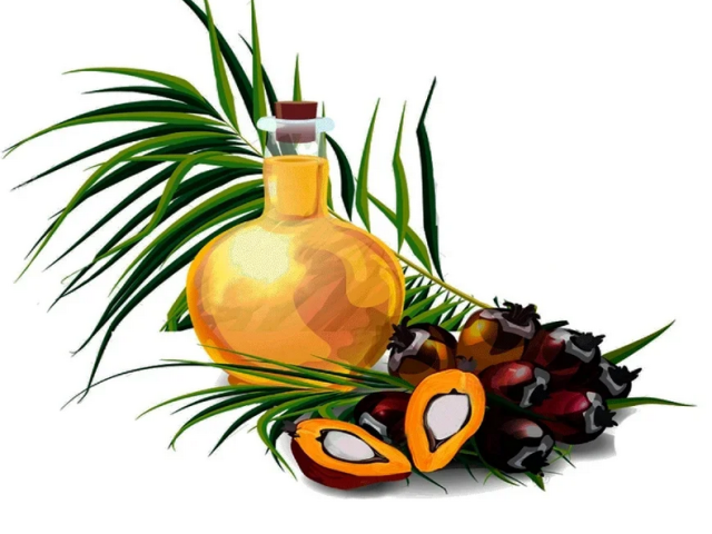 Kokosovo olje in dlan - to je isto: kaj je drugače, kar je boljše v koristih in škodi?