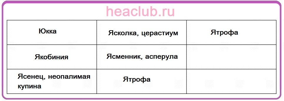 Названия цветов на "ю" и "я" таблица