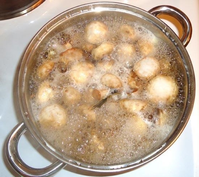 Сколько по времени нужно варить грибной суп из шампиньонов