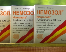 Nemozole: Instruksi untuk digunakan, ulasan Parasitolog