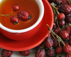 Rosehip broth how to cook, how to drink, benefits and contraindications. How to properly brew rosehip in a thermos to preserve vitamins?