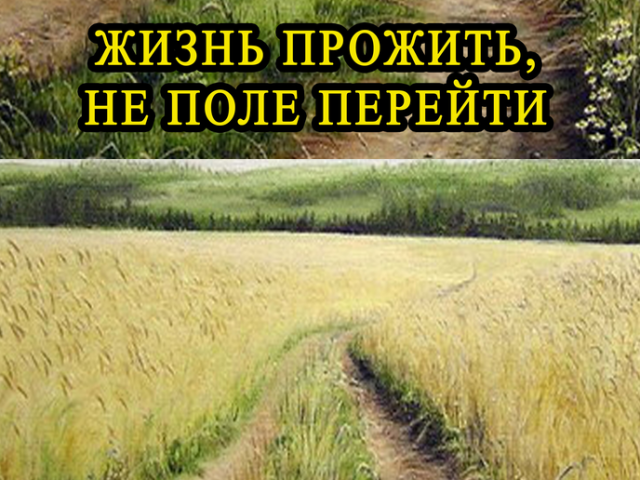 «Жизнь прожить — не поле перейти»: итоговое сочинение по литературе, сочинение-рассуждение для старшеклассников, средней и начальной школы