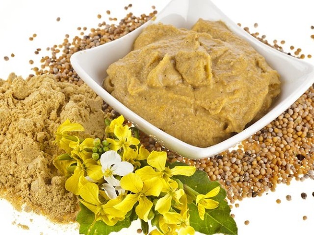 How to make a home mustard from mustard powder? Bustic recipe for cucumber brine, grains, French, with honey, dijonian