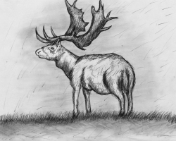 How to draw a deer with a pencil in stages for children and beginners? Deer: drawing for children