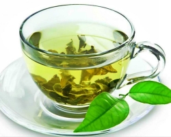 A zöld tea és a férfiak számára a zöld tea előnyei és károsodása. Lehet -e zöld tea a terhesség, a szoptatás, a gyermekek nyomása alatt?