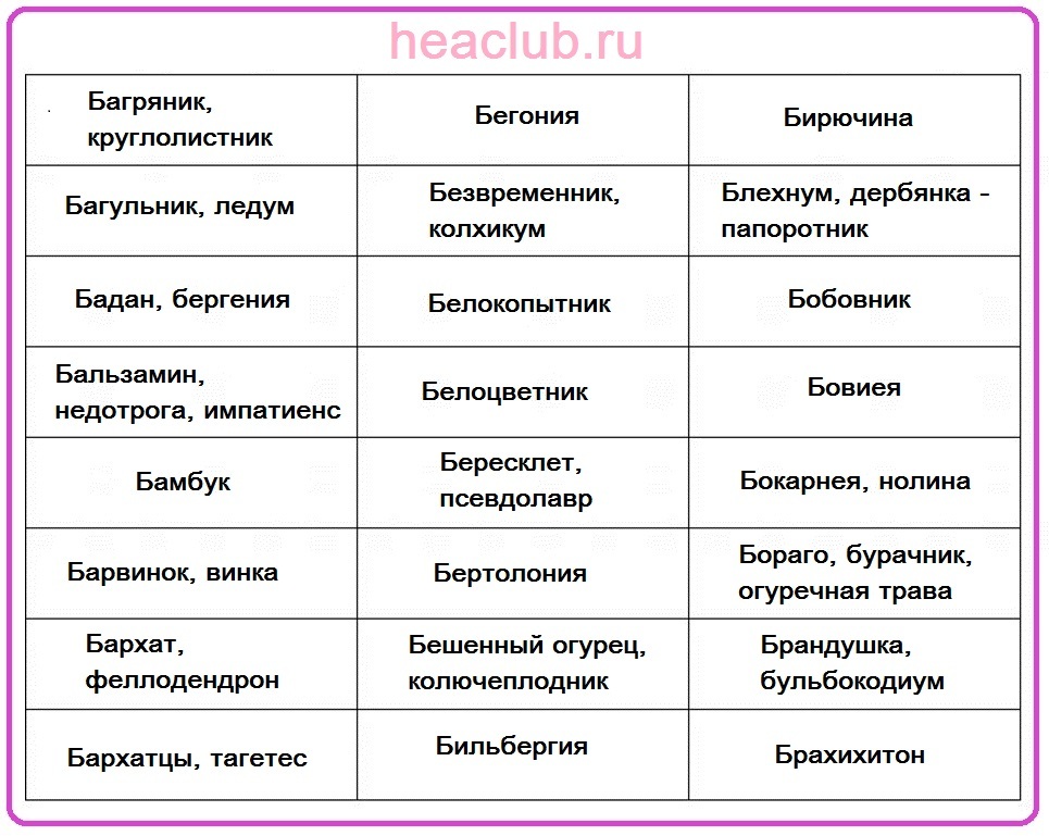 Names of flowers to b table