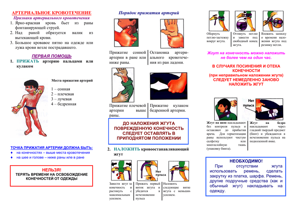 Первая помощь при кровотечениях план конспект мчс