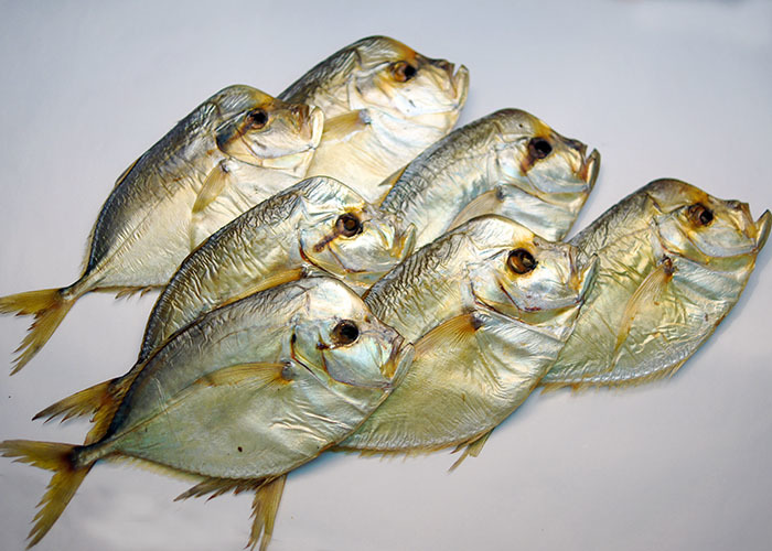 Букет Из Рыбы Фото Пошагово