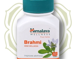 Brahmi (small -leaved bacopa): What is it, composition, healing properties in Ayurveda