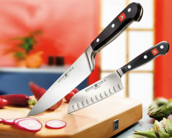Kako izbrati kuhinjski nož: vrste in priporočila