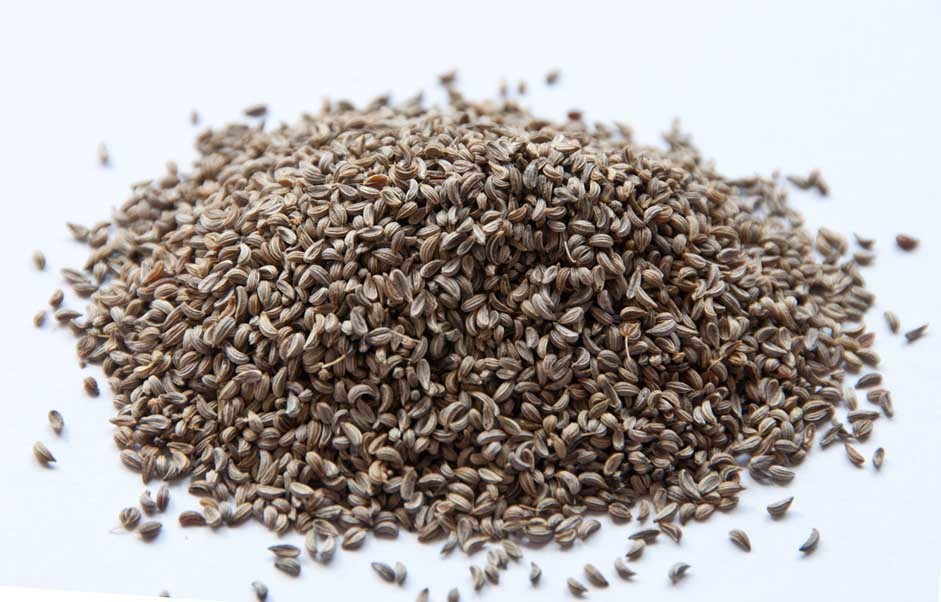 Peterseli Seed