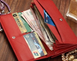 Kaj ni mogoče nositi v denarnici: seznam stvari, razlaga
