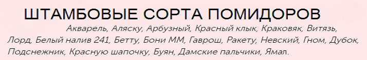 Штамбовые сорта помидоров