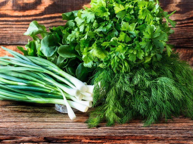 ¿Cómo almacenar greens frescos en el refrigerador? ¿Cómo y cuánto almacenar cebollas verdes, perejil, menta fresca, espinacas, albahaca, eneldo en el refrigerador?