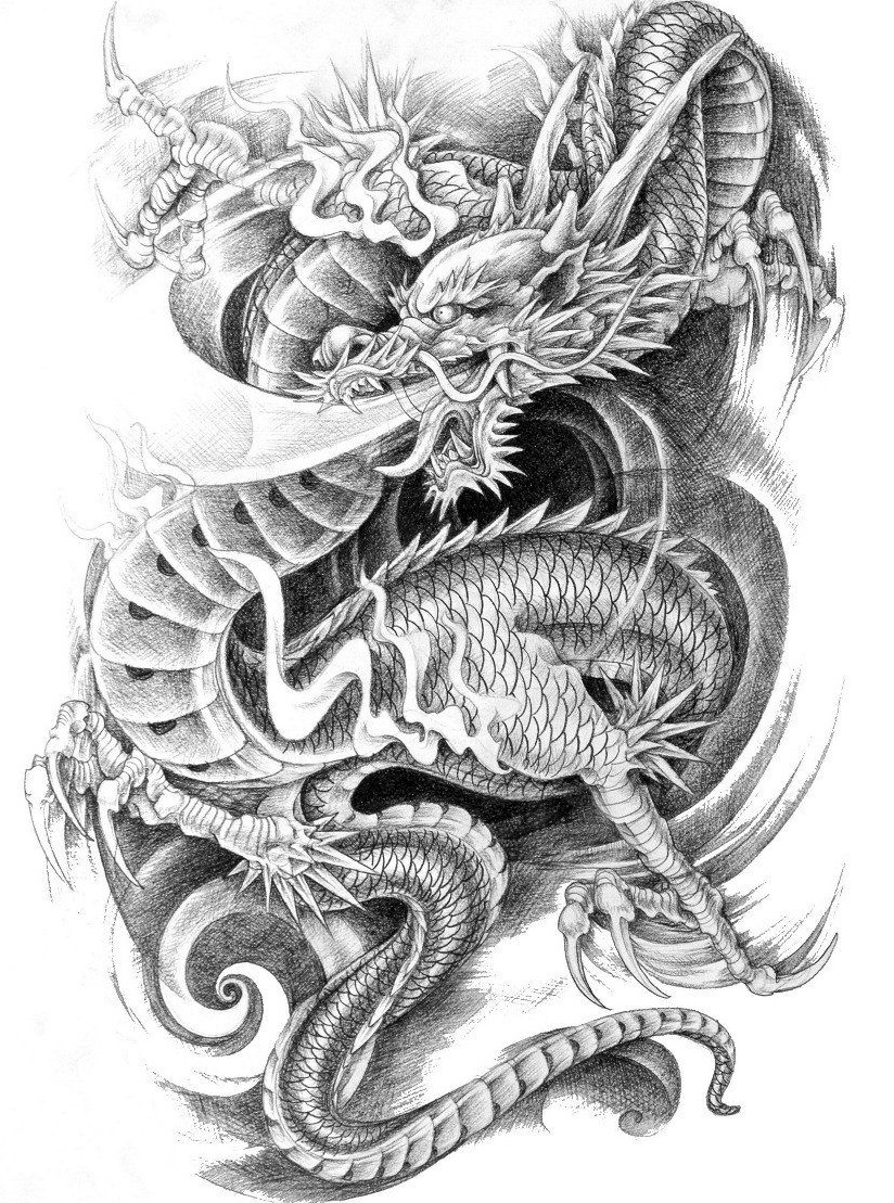 Красивый рисунок-эскиз для тату в виде дракона
