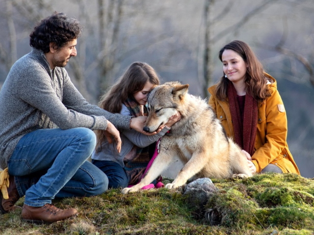 Comment déterminer le caractère d'une personne par un animal bien-aimé?