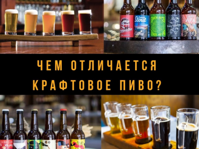 Ποια είναι η διαφορά μεταξύ της μπίρας βιοτεχνίας και της συνηθισμένης διαρροής: δημοφιλείς ποικιλίες βιοτεχνικές μπίρες
