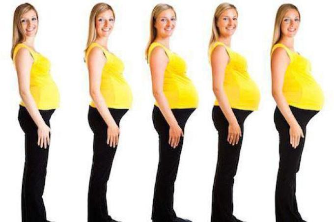 Третья беременность живот растет. Живот растет. Растущий живот у беременных. Рост живота.