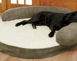 Hogyan lehet varrni egy napágyat egy saját kezével ellátott kutyának? A napi ágy elkészítésének módjai a saját kezével: Fotók, diagramok, minta felépítése, utasítás