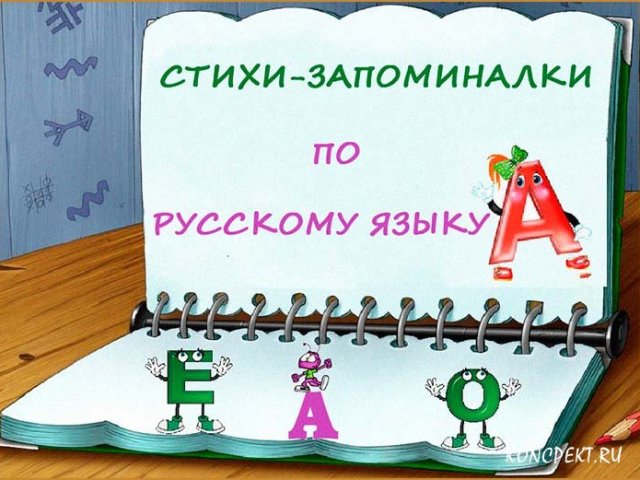 Стихи-запоминалки по русскому языку для школьников — лучшая подборка