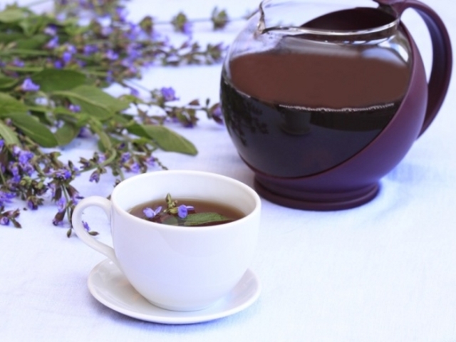 Шалфей для прекращения лактации: чай, отвар, масло — как применять?