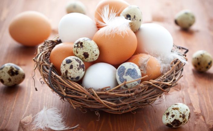 Colesterol en huevos de pollo y codorniz: ¿ahí y cuánto?