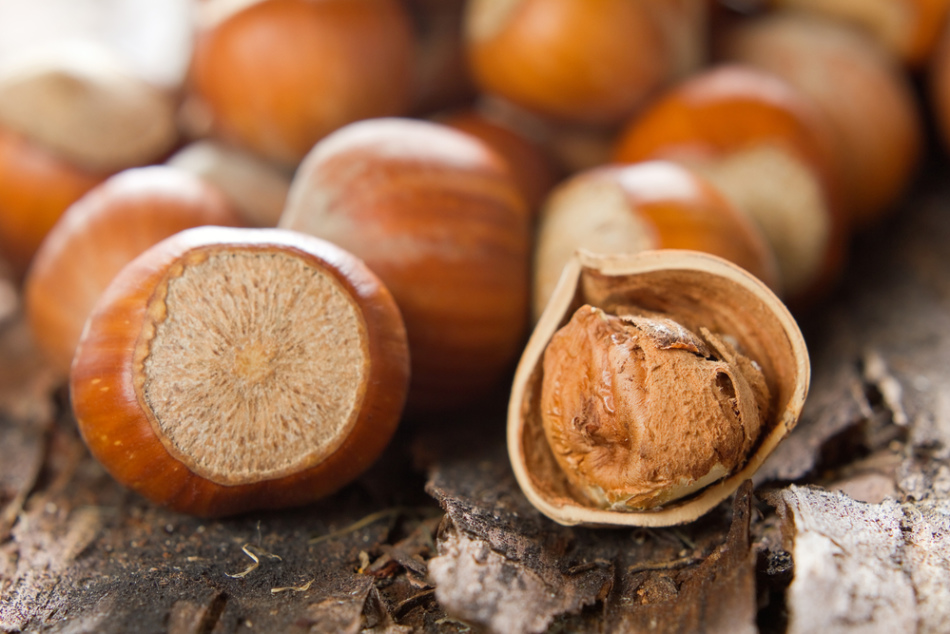 Hazelnuts, yang banyak disebut hazelnut, juga merupakan sumber protein yang kaya