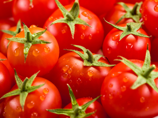 Domates domates arasındaki fark nedir? Nasıl doğru çağırılır: domates mi yoksa domates mi?