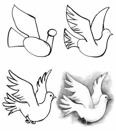 How to draw a pigeon to children
