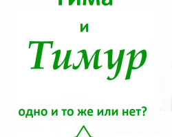 Tima, Timur: La même chose ou non? Timur peut-il être appelé Tima et vice versa?