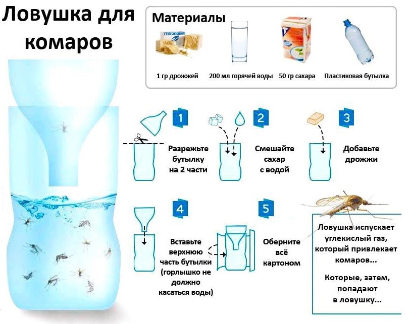 Csapda-Komarov-iz-műanyag tartályok