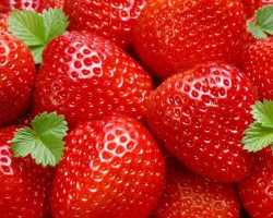 Ποια είναι η διαφορά μεταξύ των φράουλας και της Βικτώριας: σύγκριση. Τι είναι πιο χρήσιμο, καλύτερο, σκληρότερο, αρωματικό, γευστικό: Βικτώρια ή φράουλες; Τι μοιάζει με τη Βικτώρια και οι φράουλες: Φωτογραφία