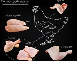 How to cut the chicken: scheme, step -by -step instructions, tips