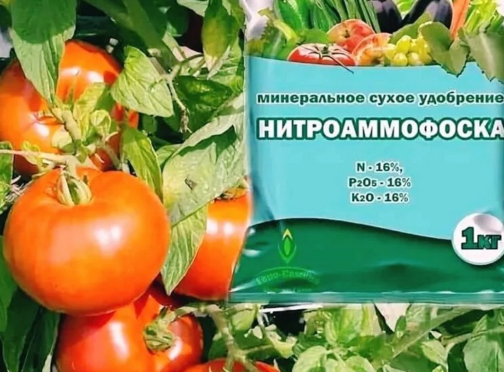 nitroammofoska - کود برای گوجه فرنگی