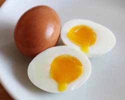 Apa yang lebih berguna dalam telur ayam: protein atau kuning telur?