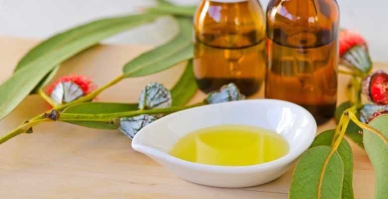 Eucalyptus oil