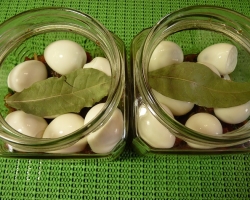 Πώς να ταρλάκια αυγά; Που κοτόπουλου και αυγά ορτυκιών, βήματα βήματα με φωτογραφία. Ξυδάτα αυγά