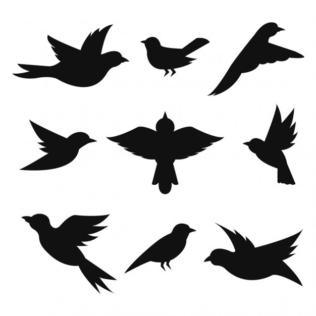 Stensil burung untuk anak -anak - template