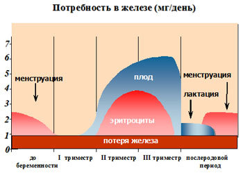 Pregnant nutrition for low hemoglobin, iron rate during pregnancy