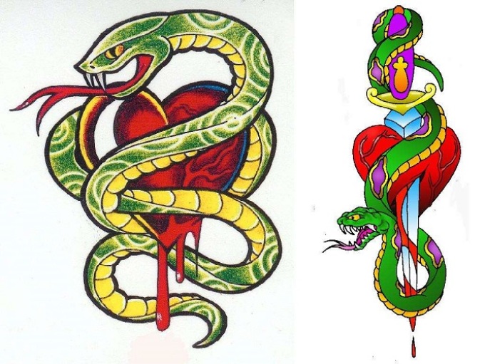 Отношения между змеей и змеей. Тату змея. Тату змея цветная. Змея эскиз. Эскизы татуировок змеи.