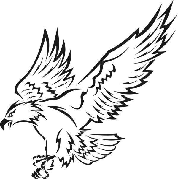 Эскиз для тату в виде летящего орла