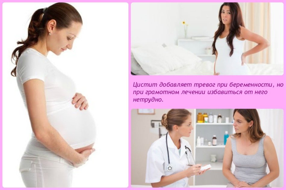 Means for the treatment of cystitis in pregnant women: