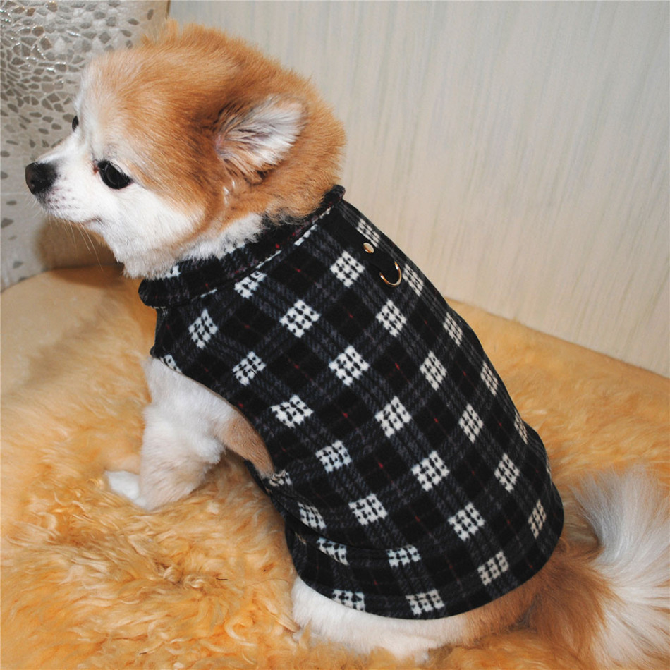 Dog checkered